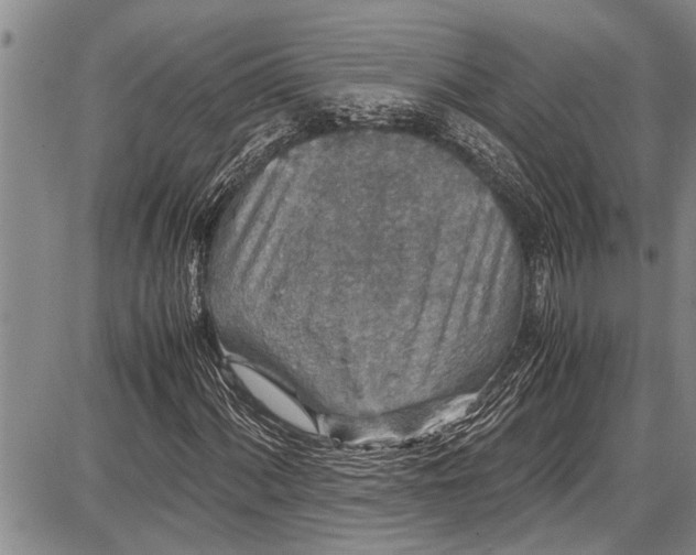 X0000087641060200705181520