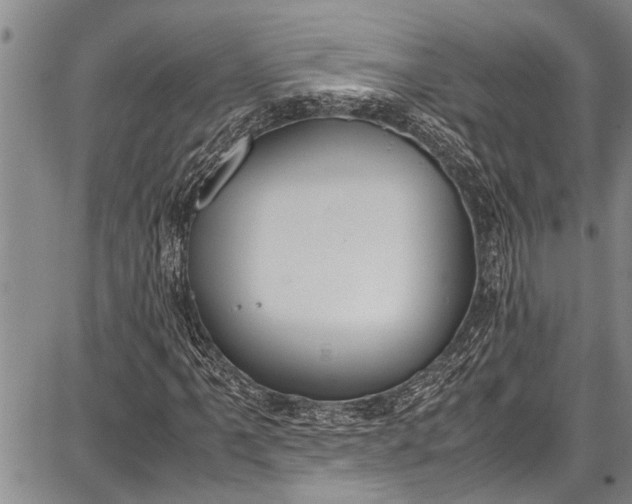 X0000087641061200705181520