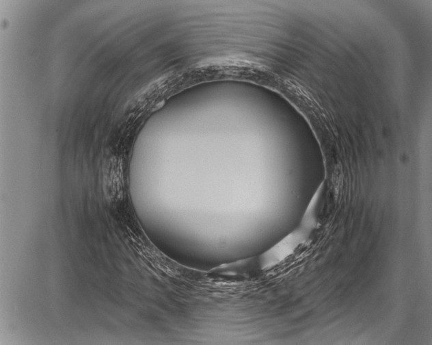 X0000087641062200705181520