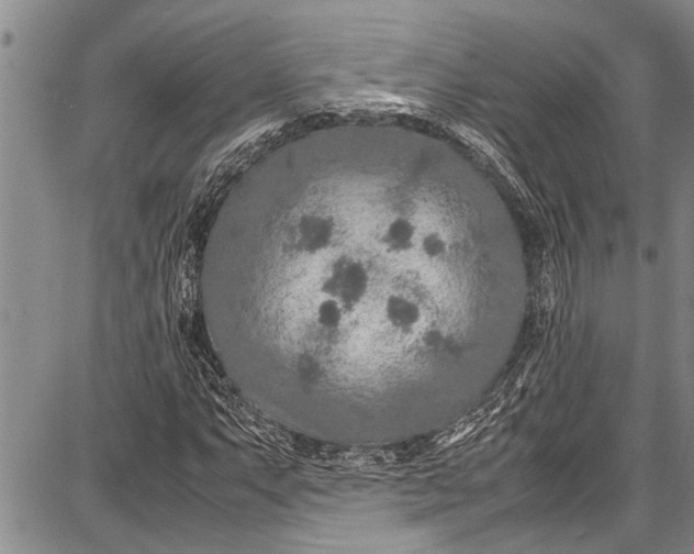 X0000087641063200705181520