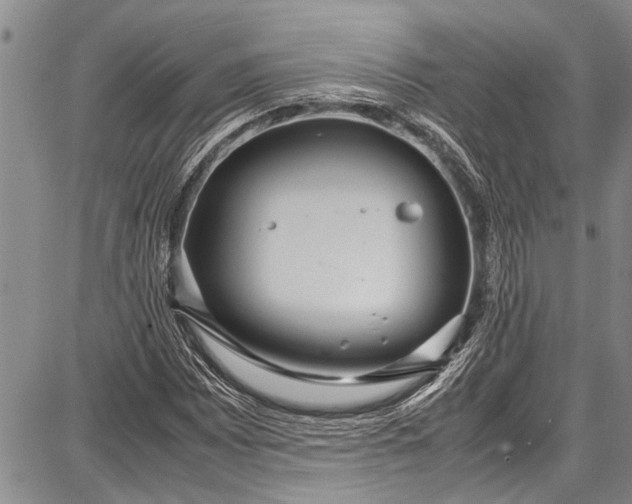 X0000087641065200705181520