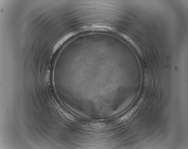 X0000087641066200705181520