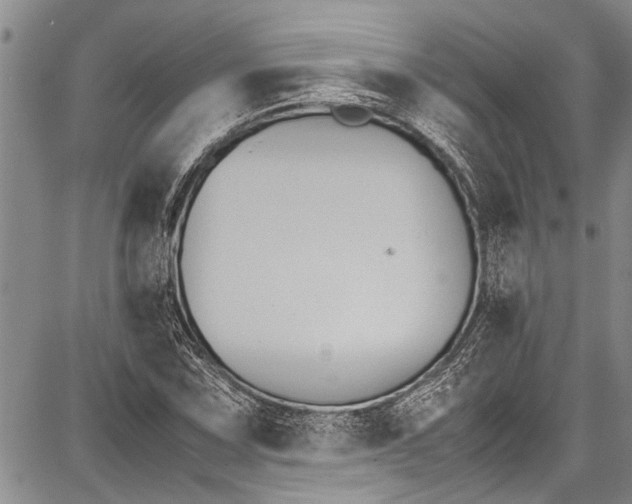 X0000087641067200705181520