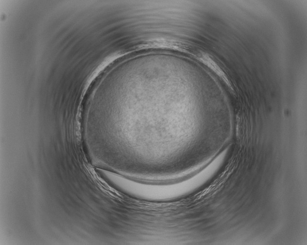 X0000087641068200705181520