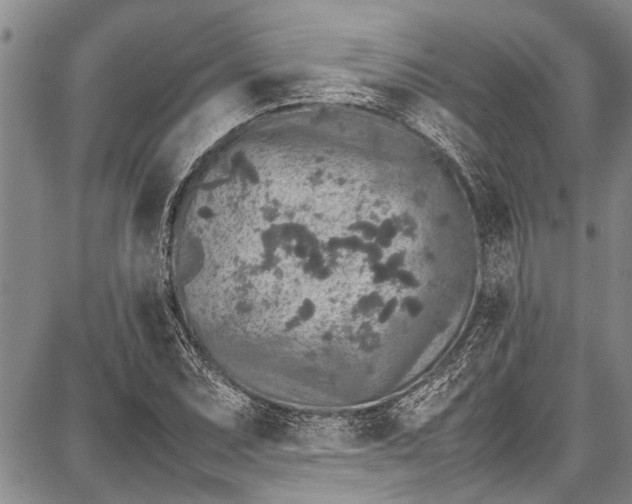 X0000087641071200705181520