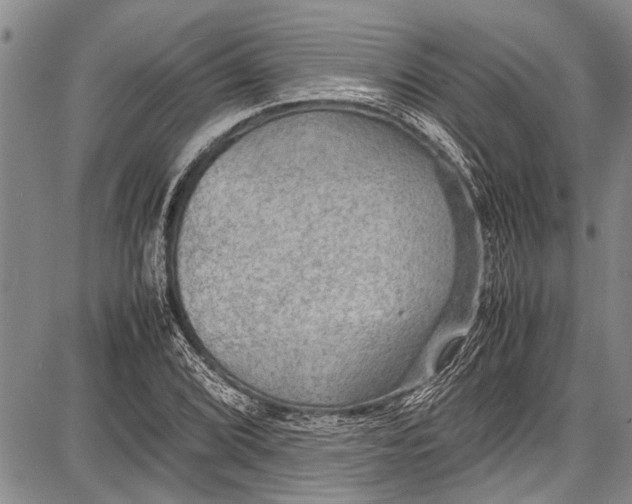 X0000087641072200705181520