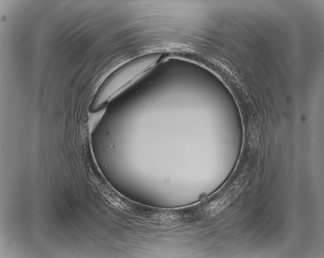 X0000087641073200705181520