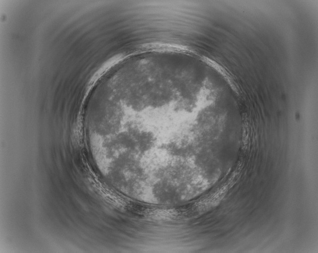 X0000087641074200705181519