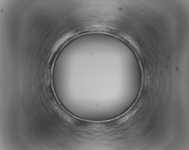 X0000087641075200705181519