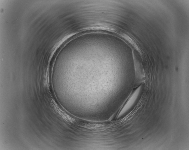 X0000087641076200705181519