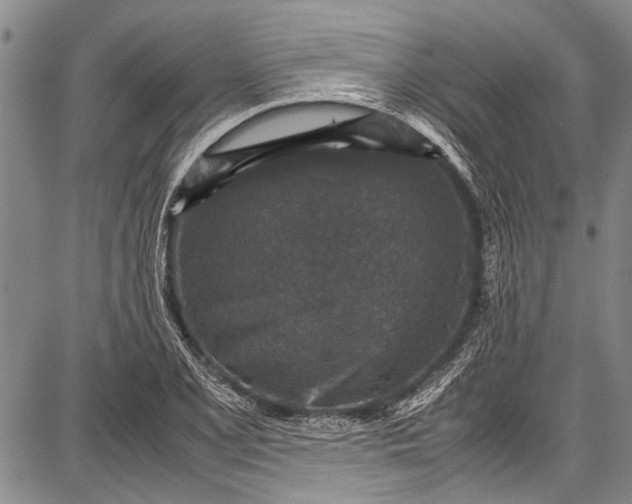 X0000087641077200705181519