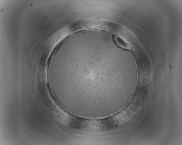 X0000087641079200705181519