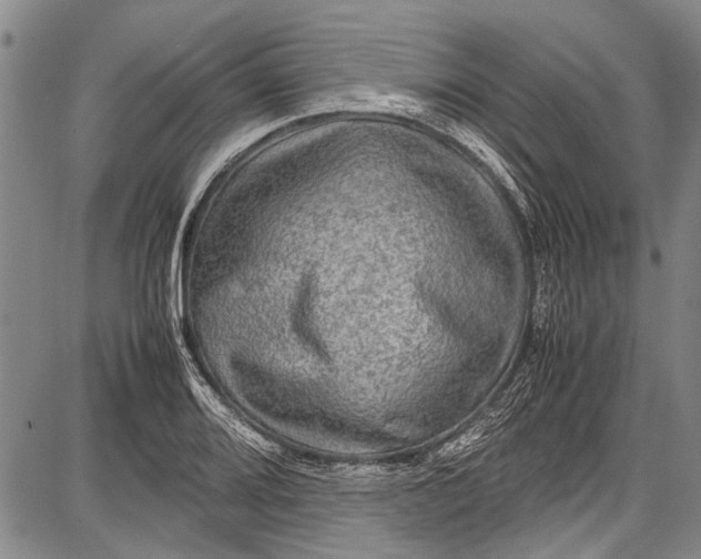 X0000087641080200705181519