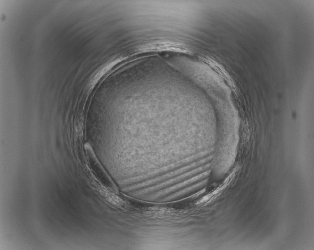 X0000087641081200705181519