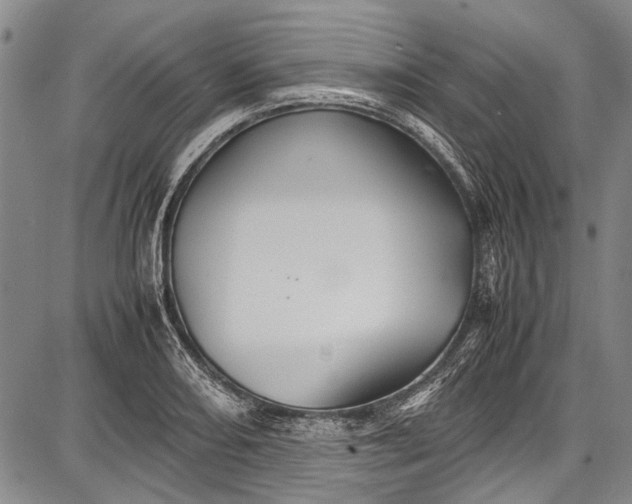 X0000087641082200705181519