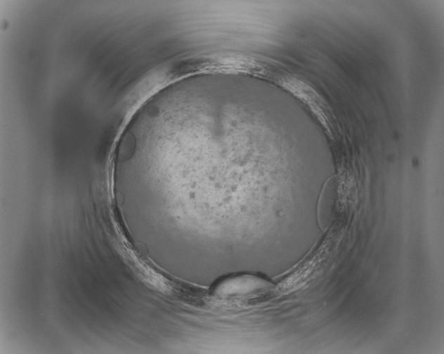 X0000087641083200705181519