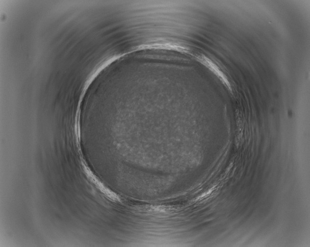 X0000087641084200705181519