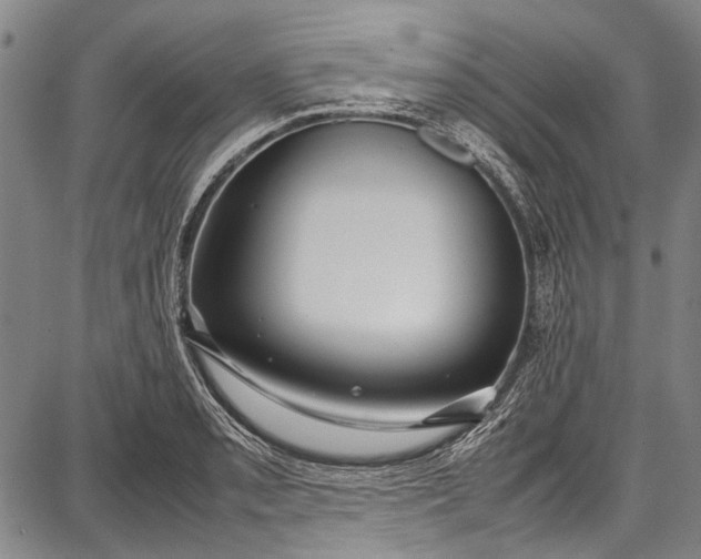 X0000087641085200705181519