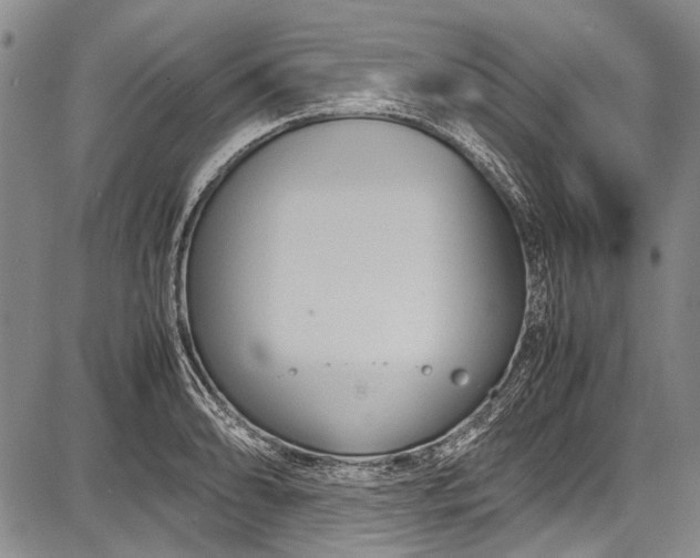 X0000087641086200705181519