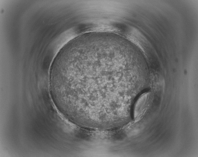 X0000087641087200705181519