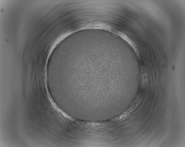 X0000087641088200705181519