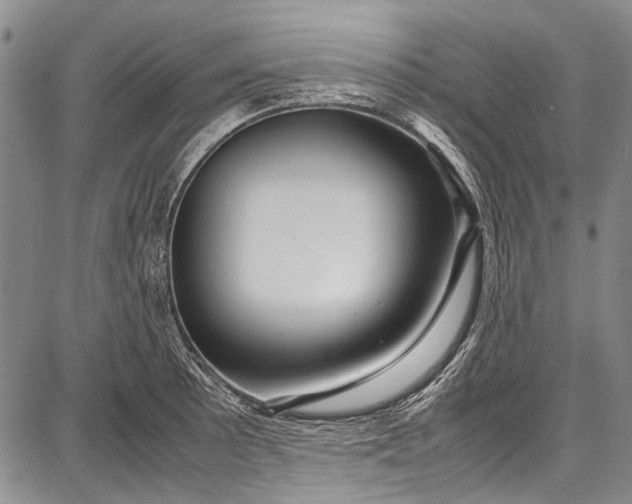 X0000087641089200705181519