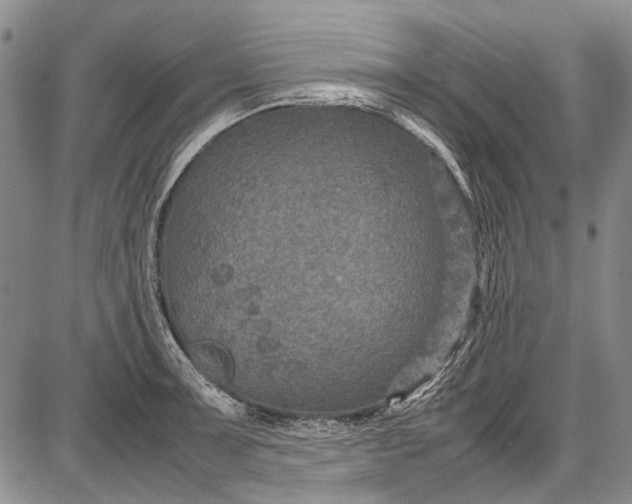 X0000087641091200705181519