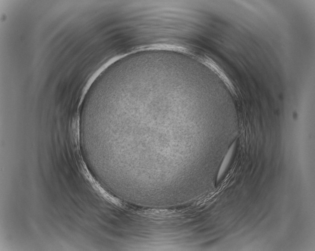 X0000087641092200705181519