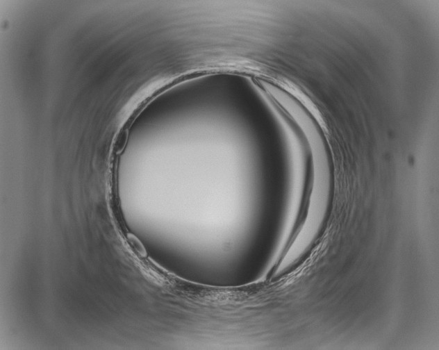 X0000087641093200705181519