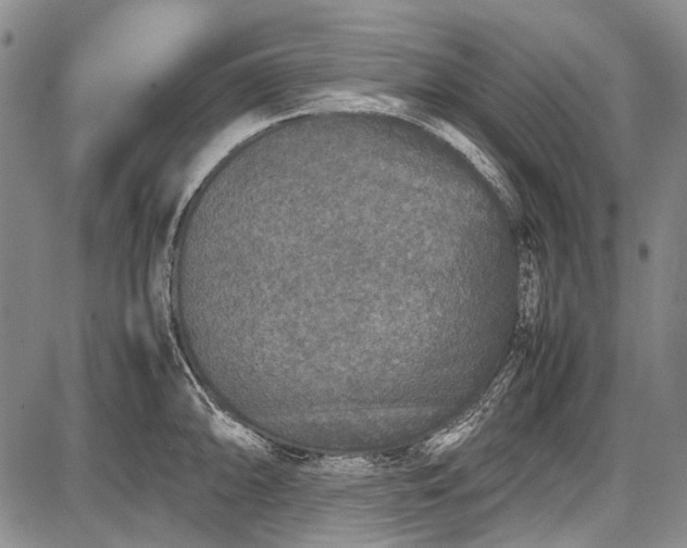 X0000087641094200705181519