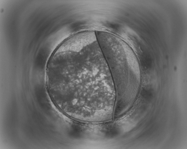 X0000087641095200705181519