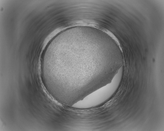 X0000087641096200705181519