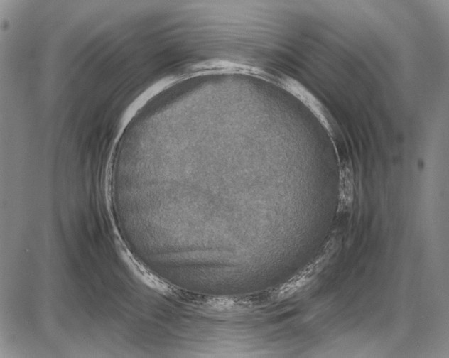 X0000087641098200705181519