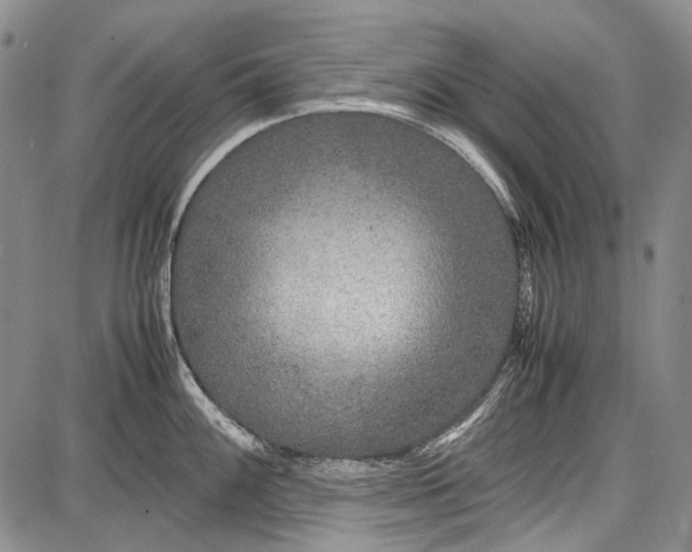 X0000087641100200705181519