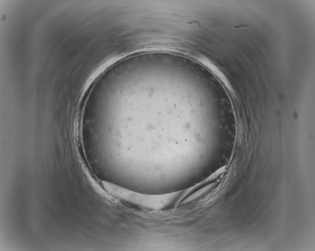 X0000087641101200705181519