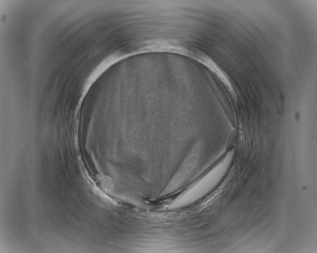 X0000087641102200705181519