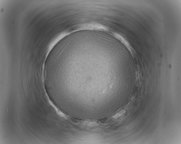 X0000087641103200705181519