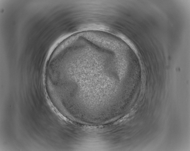 X0000087641104200705181519