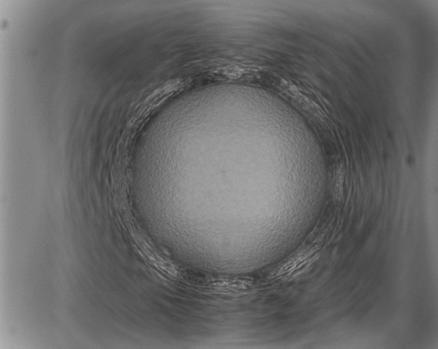 X0000087641105200705181518