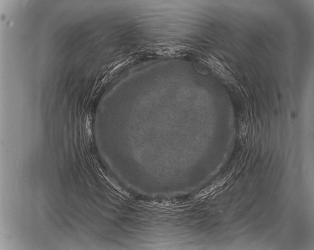 X0000087641106200705181518