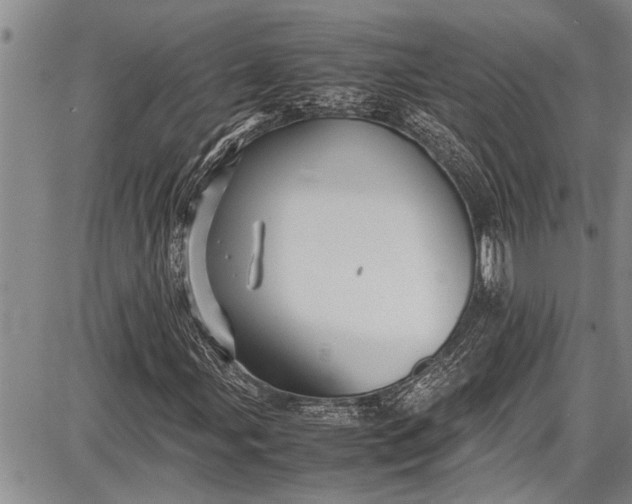 X0000087641107200705181518