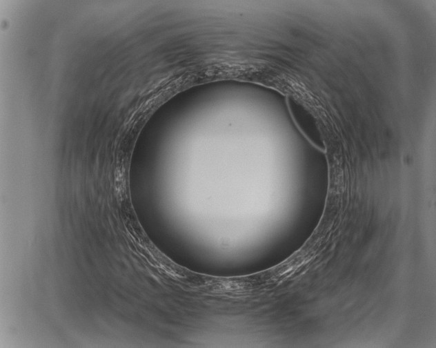 X0000087641109200705181518