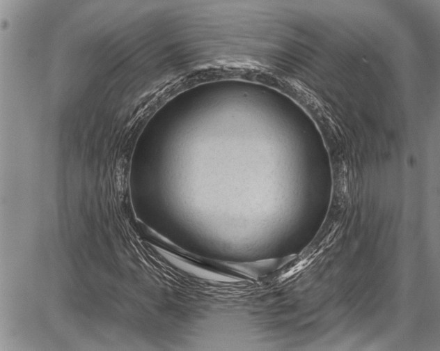 X0000087641110200705181518