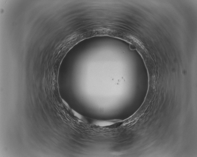 X0000087641111200705181518