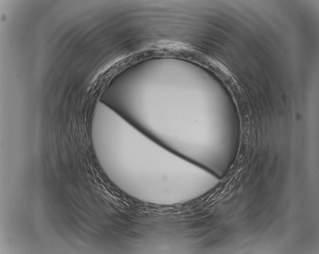 X0000087641112200705181518