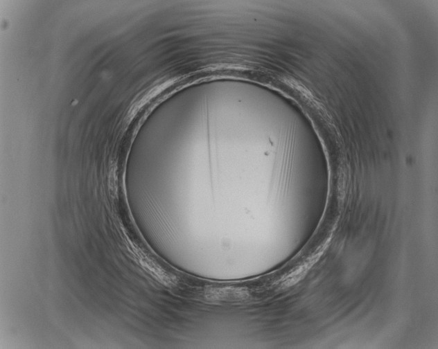 X0000087641113200705181518