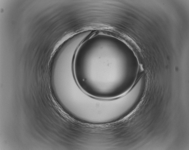 X0000087641114200705181518