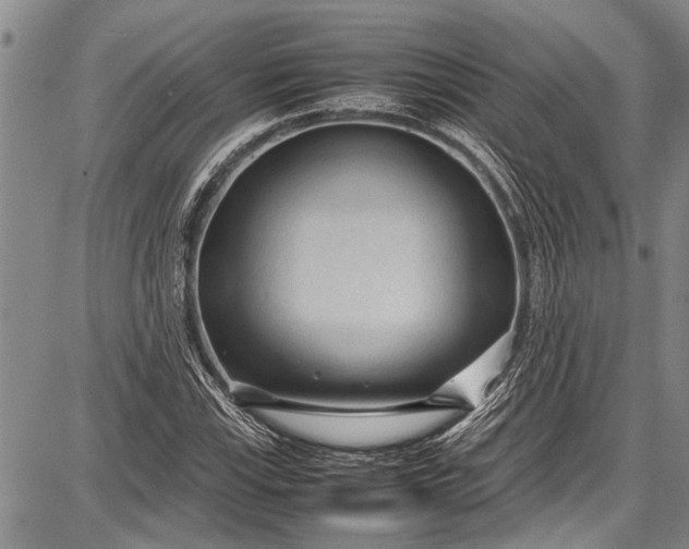 X0000087641115200705181518