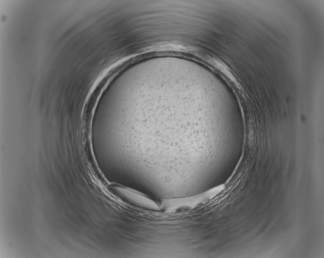 X0000087641116200705181518