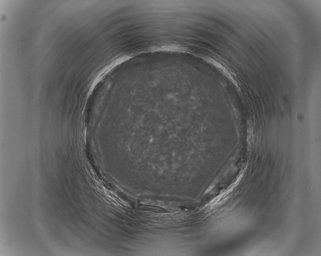 X0000087641117200705181518